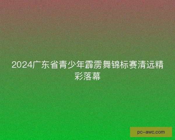 2024广东省青少年霹雳舞锦标赛清远精彩落幕